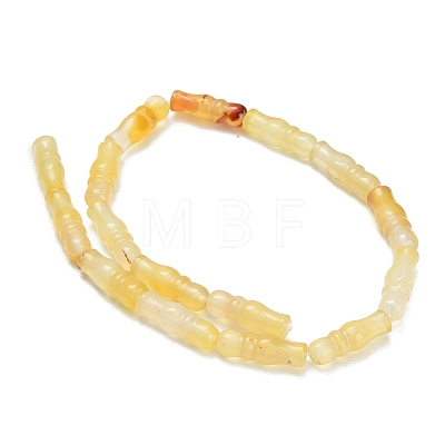 Natural Agate Beads Strands G-Z144-A02-01C-1