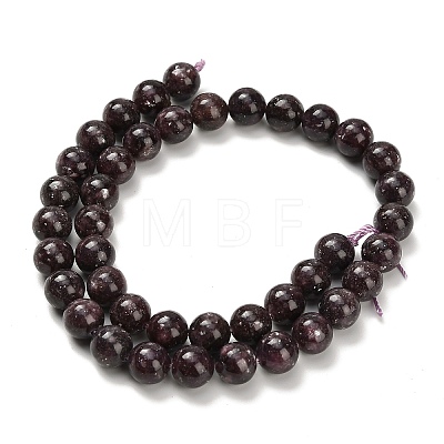 Natural Lepidolite/Purple Mica Stone Beads Strands G-H335-B03-10mm-A-1