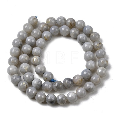 Natural Gemstone Beads Strands G-L641-A01-01-1