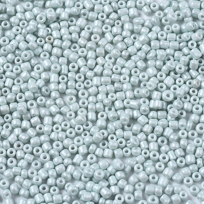 Glass Seed Beads SEED-S060-A-F408-1