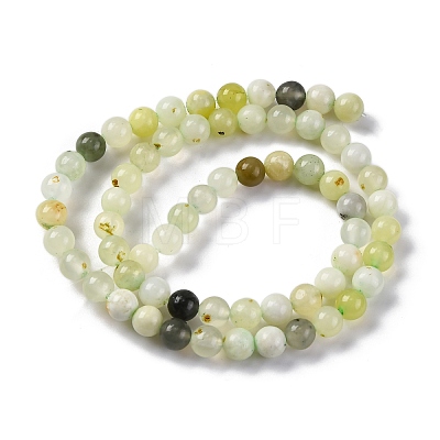 Natural New Jade Beads Strands G-F591-16-6MM-1