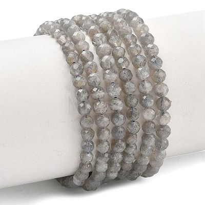 Natural Labradorite Beads Strands G-L642-F07-4mm-1