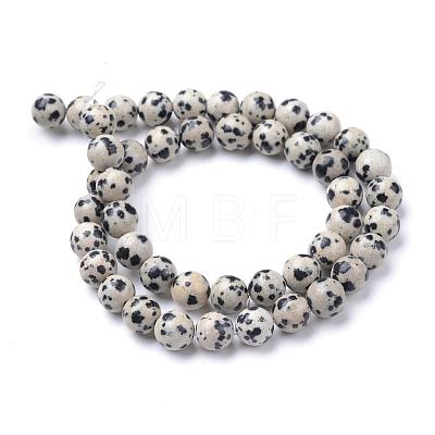 Natural Dalmatian Jasper Bead Strands G-R345-10mm-51-1