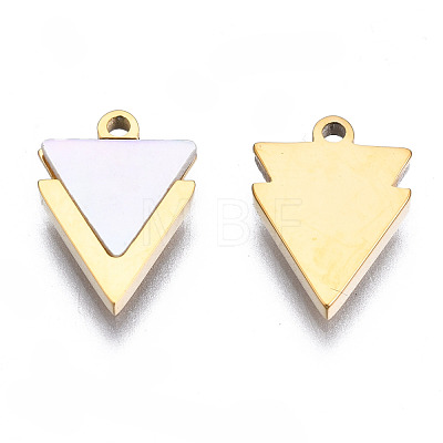 316 Surgical Stainless Steel Charms STAS-N097-043-1