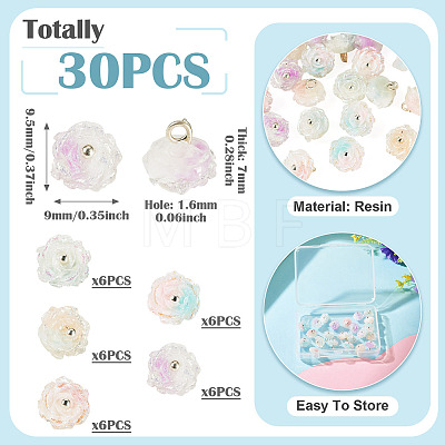 30Pcs 5 Colors Two-tone Resin Charms RESI-TA0005-71-1