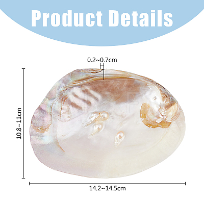 Natural Shell Jewelry Plates DJEW-WH0058-08-1