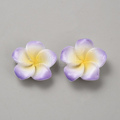 Two Tone Resin Cabochons RESI-WH20010-01A-1