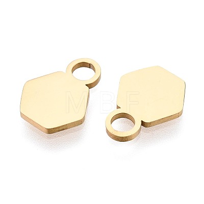 201 Stainless Steel Charms STAS-T070-13G-1