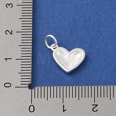 925 Sterling Silver Heart Charms STER-K181-02S-1