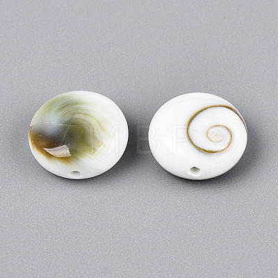 Natural Shiva Eye Shell Beads BSHE-T014-33B-1