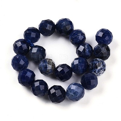 Natural Sodalite Beads Strands G-S345-10mm-26-1