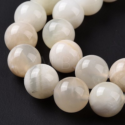 Natural White Moonstone Beads Strands G-F674-08-10mm-01-1