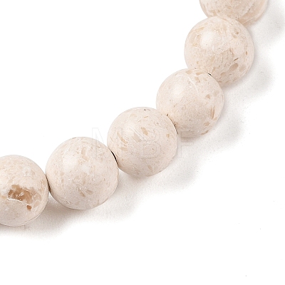 Natural Fossil Round Beaded Stretch Bracelets G-U005-01B-01-1