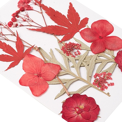 Pressed Dried Flowers DIY-YWC0001-101-1