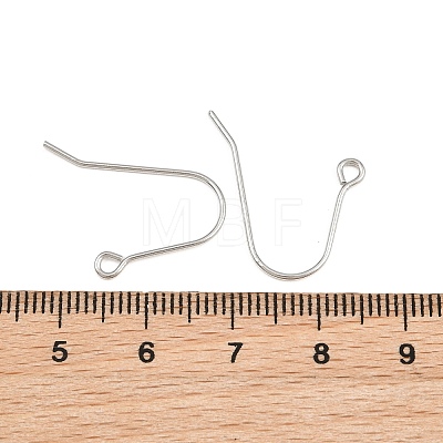 304 Stainless Steel Ear Wires SA-CBA5F7B-01P-1