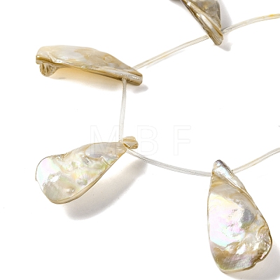 Electroplated Natural Freshwater Shell Beads Strands BSHE-S304-02-1