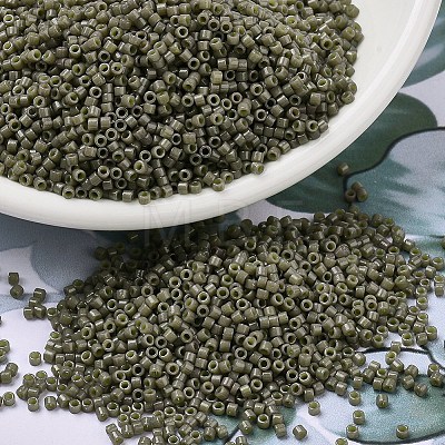 MIYUKI Delica Beads X-SEED-J020-DB2365-1