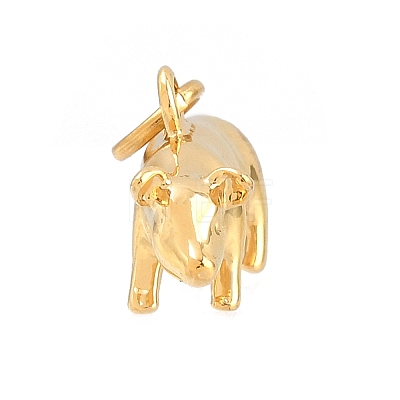 Brass Pendants KK-CBA855A-01G-12-1