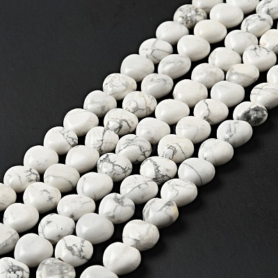 Natural Howlite Beads Strands G-B022-09B-1