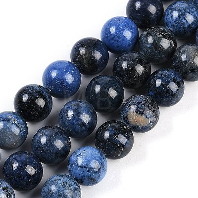 Natural Dumortierite Beads Strands G-G167-A06-10MM-1