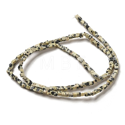 Natural Dalmatian Jasper Beads Strands G-B064-A11-1