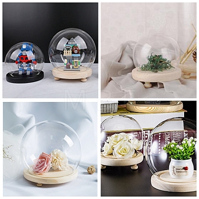 High Borosilicate Glass Cloche Globe Display Dome ODIS-F007-01A-1