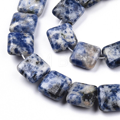 Natural Blue Spot Jasper Beads Strands G-N326-140G-1