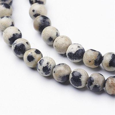 Natural Dalmatian Jasper Beads Strands GSR4mmC004-1
