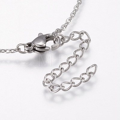 304 Stainless Steel Pendant Necklaces NJEW-F213-02-1
