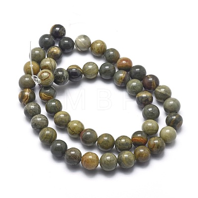 Natural Silver Leaf Jasper Beads Strands G-I254-04B-1