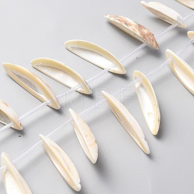 Natural Freshwater Shell Beads Strands SHEL-C001-02-1