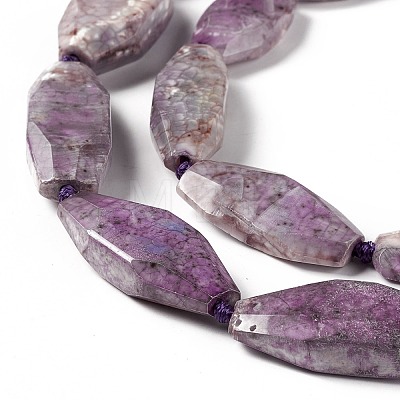 Natural Agate Beads Strands G-F719-13A-1