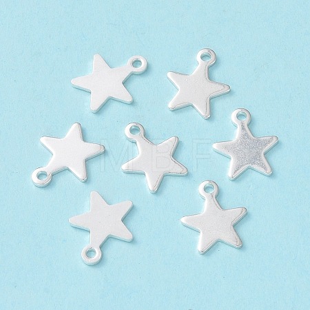 304 Stainless Steel Charms STAS-L234-069S-1
