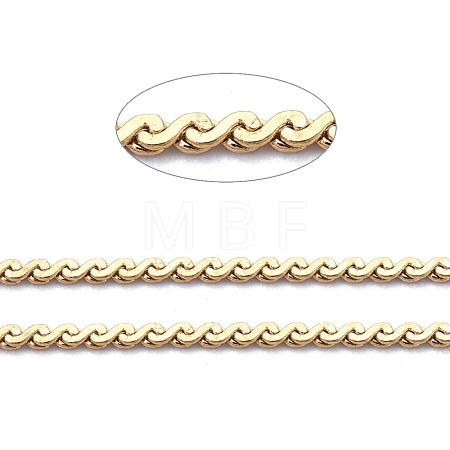 3.28 Feet 304 Stainless Steel Serpentine Chains X-CHS-F011-12A-G-1