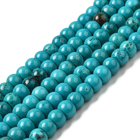 Natural Howlite Beads Strands G-B049-C01-05A-1