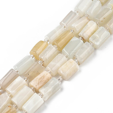 Natural White Moonstone Beads Strands X-G-N327-06C-1