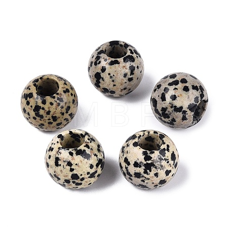 Natural Dalmatian Jasper Beads G-Q608-05G-1