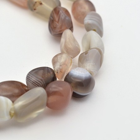 Natural Botswana Agate Bead Strands G-P070-52-1