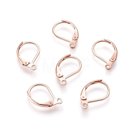 304 Stainless Steel Leverback Earring Findings X-STAS-P166-12RG-1