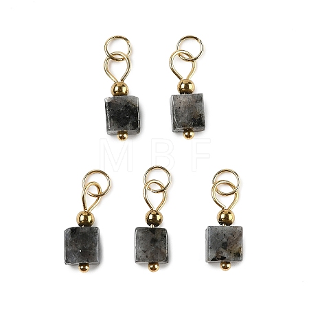 Natural Labradorite Pendants STAS-Z129-01G-03-1