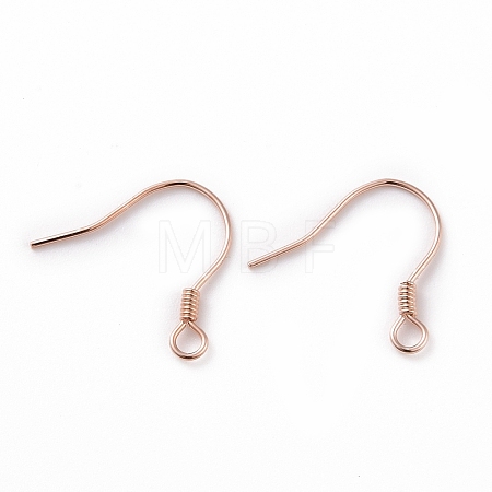 925 Sterling Silver Earring Hooks STER-D035-22RG-1