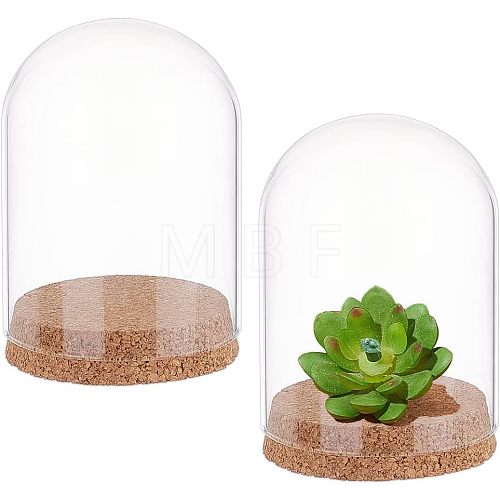  2 Sets High Borosilicate Glass Dome Cover DJEW-NB0001-20-1