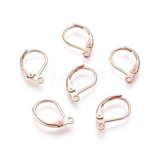 304 Stainless Steel Leverback Earring Findings X-STAS-P166-12RG-1