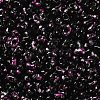 Spray Painted Glass Seed Beads SEED-F005-08A-04-3