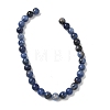 Natural Sodalite Beads Strands X-G-G515-6mm-07-4