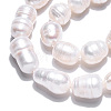 Natural Cultured Freshwater Pearl Beads Strands PEAR-N012-10C-5