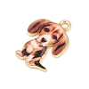 Alloy Pendants FIND-B062-07A-3