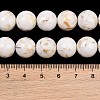 Synthetic Turquoise and Sea Shell Assembled Graduated Beads Strands GG-CBA2AE1-A07-A-6
