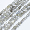 Natural Labradorite Beads Strands LS-G-K203-12-1