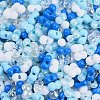 Glass Seed Beads SEED-K010-03D-2